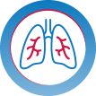 Lung icon